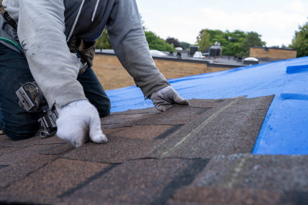 Best Residential Roofing Contractor  in Martins Ferry, OH