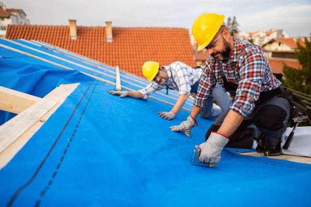 Best Storm Damage Roof Repair  in Martins Ferry, OH