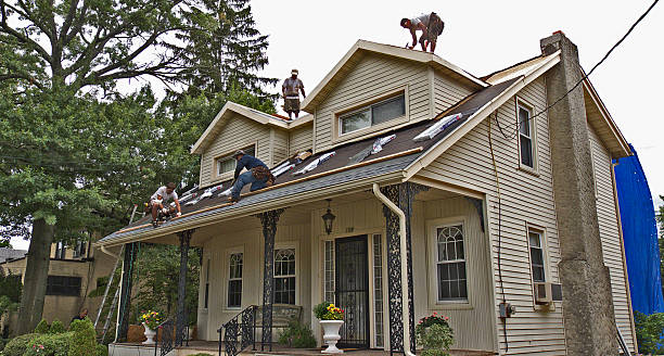 Best New Roof Installation  in Martins Ferry, OH