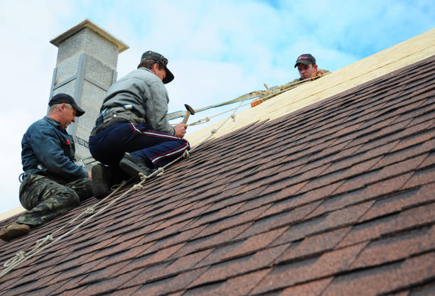 Quick and Trustworthy Emergency Roof Repair Services in Martins Ferry, OH