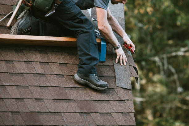 Best Gutter Installation and Roofing  in Martins Ferry, OH